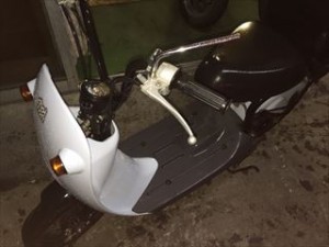 IMG_0984_R